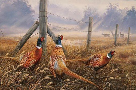 Rosemary Millette Open Edition 24x36 Framed Canvas:"Meadow Mist-Pheasants"