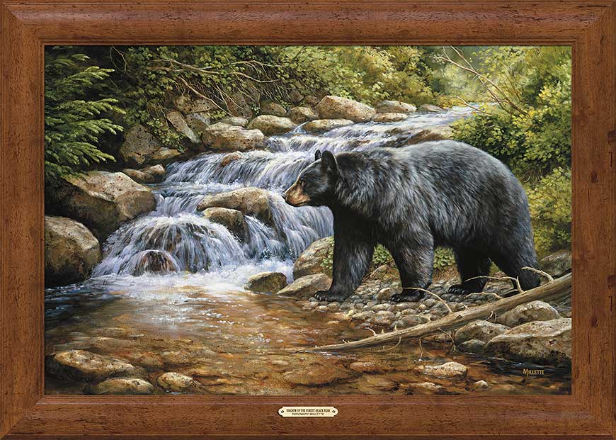 Rosemary Millette Signed and Numbered Limited Edition Oversized Framed Canvas:"Shadow Of The Forest-Black Bear"