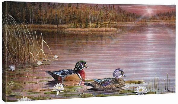 Bob Metropulos 18x36 Open Edition Gallery Wrap Canvas:"Northwoods SplendorWood Ducks"