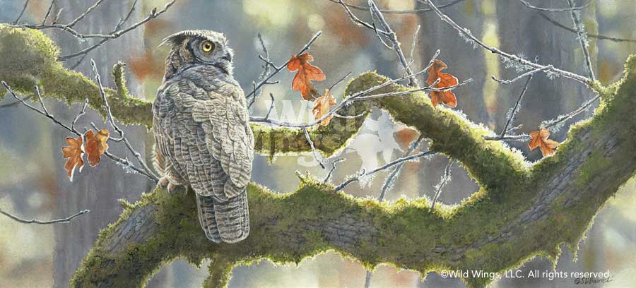 S. Bourdet Handsigned and Numbered Limited Edition Print: "Treetop Hideaway - Great Horned"