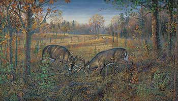 Sam Timm Handsigned and Numbered Limited Edition Print::"October Challenge - Whitetail Deer "