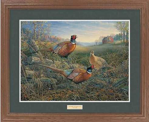 Sam Timm Great Northern Framed Art:"Autumn Afternoon - Pheasants"