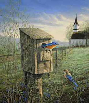 Sam Timm Limited Edition Print: "Springtime Bluebirds"