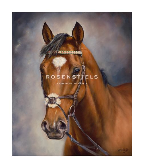 Sarah Aspinall Hand Numbered Limited Edition Print on Paper :"Frankel"