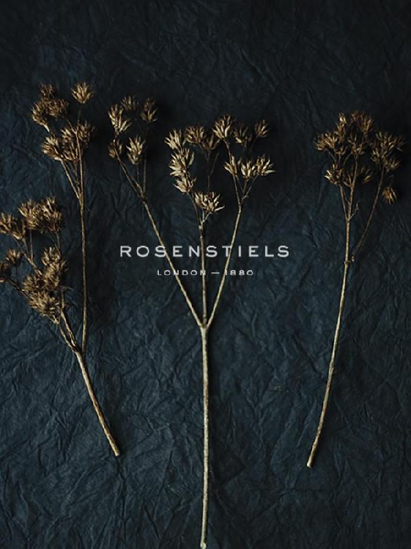 Sarah Hart Morgan 30 x 40 in. Open Giclee Canvas:"Rustic Nature - Gather"