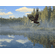 Scot Storm Artist Signed and Numbered Limited Edition Print:"Union Mist"