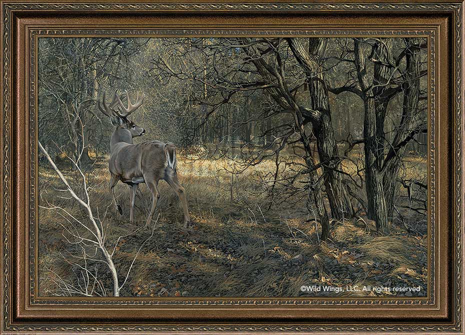 Scot Storm Framed Limited Edition Canvas: "Monarch-Whitetail Deer"