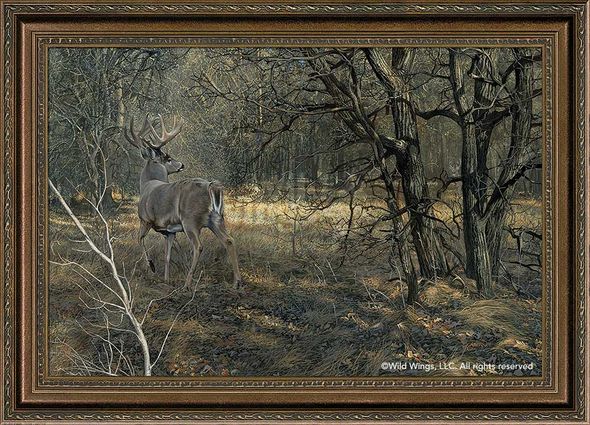 Scot Storm Framed Limited Edition Canvas: "Monarch-Whitetail Deer"