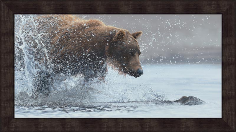 Scot Storm Framed Limited Edition Canvas: "Salmon Run-Brown Bear"