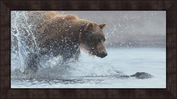 Scot Storm Framed Limited Edition Canvas: "Salmon Run-Brown Bear"