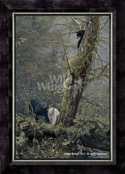 Scot Storm Framed Limited Edition Canvas: "Spirit Bear"