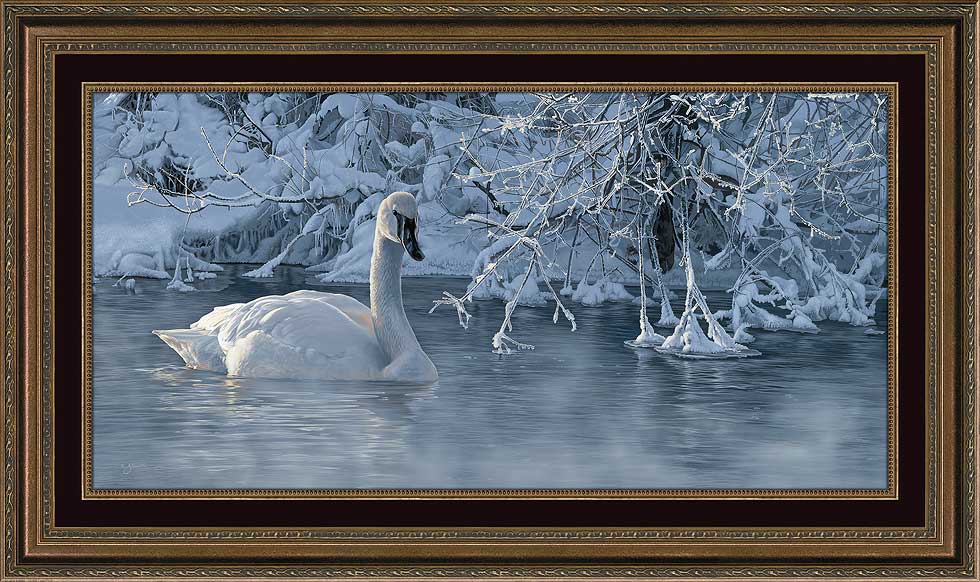 Scot Storm Framed Limited Edition Canvas: "Winter Elegance-Swan"