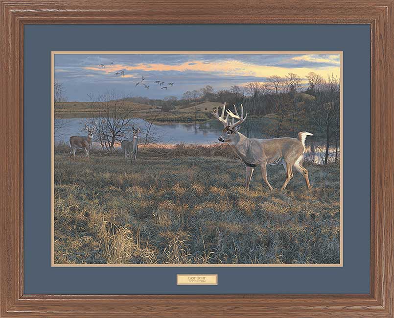 Scot Storm Great Northern Art Open Edition Framed Art Print:"Last Light"