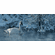Scot Storm Hand Signed and Numbered Limited Edition Canvas Giclee: "Winter Elegance-Trumpeter Swan"