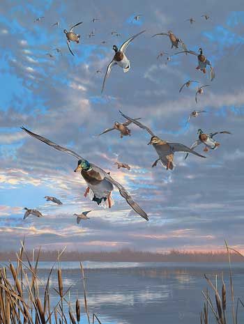 Scot Storm Handsigned and Numbered Limited Edition Artist Proof Print: "Closing Minutes-Mallards Artist Proof"