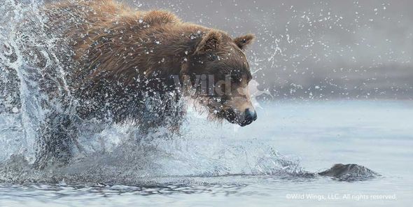 Scot Storm Handsigned and Numbered Limited Edition Canvas: "Salmon Run - Brown Bear Canvas"