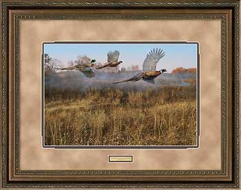 Scot Storm Handsigned and Numbered Limited Edition: "Framed Morning Mist-Pheasants AP"