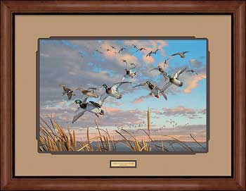 Scot Storm Handsigned and Numbered Limited Edition: "Framed Should Have Been There"