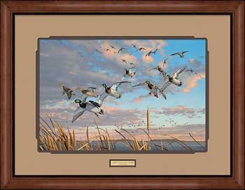 Scot Storm Handsigned and Numbered Limited Edition: "Framed Should Have Been There"
