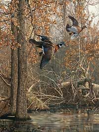 Scot Storm Handsigned and Numbered Limited Edition Print: " LaGrue Woodies"