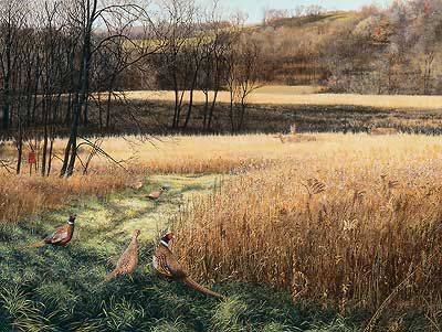 Scot Storm Handsigned and Numbered Limited Edition Print: "Legacy ll-Pheasants"