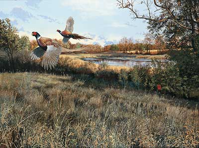 Scot Storm Handsigned and Numbered Limited Edition Print: "Legacy-Pheasants"