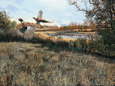 Scot Storm Handsigned and Numbered Limited Edition Print: "Legacy-Pheasants"