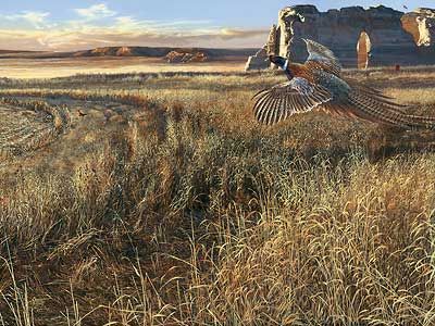 Scot Storm Handsigned and Numbered Limited Edition Print: "Legacy V-Prairie Heritage"