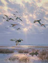 Scot Storm Handsigned and Numbered Limited Edition Print: "Right Place, Wrong Time"