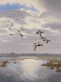 Scot Storm Handsigned and Numbered Limited Edition Print: "Rippin' the Dawn"