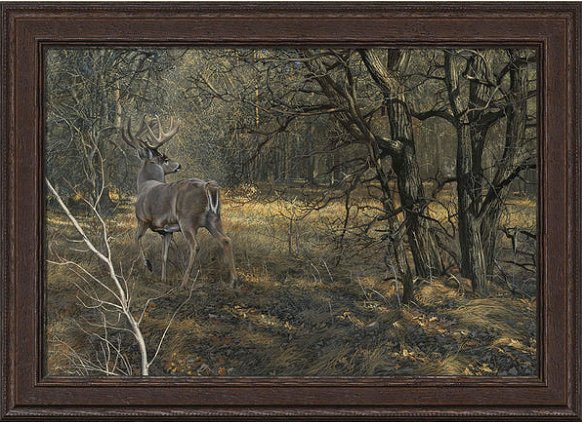 Scot Storm Limited Edition Framed Canvas:"Monarch�Whitetail Deer"