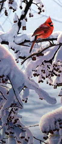 Scot Storm Print-Signed and Numbered:"Winter Crimson"