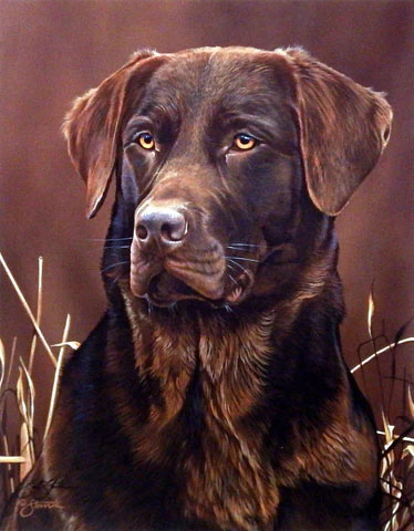 Scot Storm Print-Signed:"Loyal Companion- Chocolate Lab"
