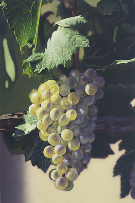 Scott Jacobs Hand Signed and Numbered Limited Edition Canvas Giclee: "Heard it Through the Grapevine"
