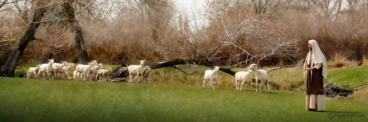 Scott Sumner Fine Art Canvas Giclee: "Come Follow Me"