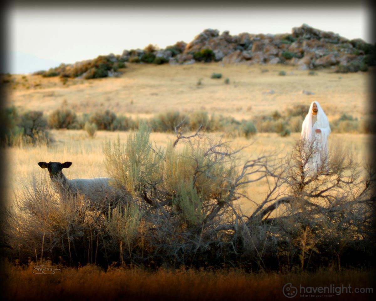 Scott Sumner Fine Art Canvas Giclee: "In Search of the One"