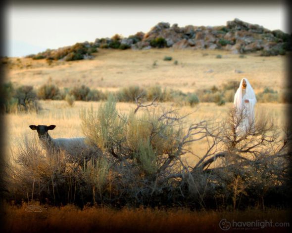 Scott Sumner Fine Art Canvas Giclee: "In Search of the One"