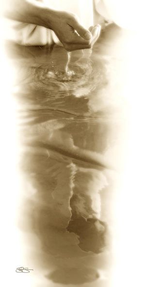 Scott Sumner Fine Art Canvas Giclee: "Reflective Waters"