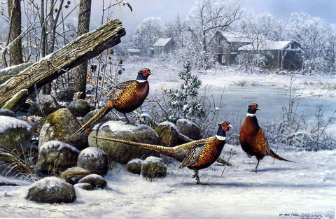 Scott Zoellick Artist Proof:"Rooster Resort"