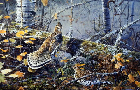 Scott Zoellick Print-Signed and Numbered:"Autumn Solitude"