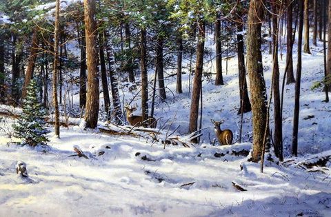 Scott Zoellick Print-Signed and Numbered:"Backwoods Deer"