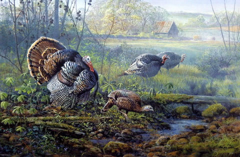 Scott Zoellick Print-Signed and Numbered:"Crawford Country Courtship"