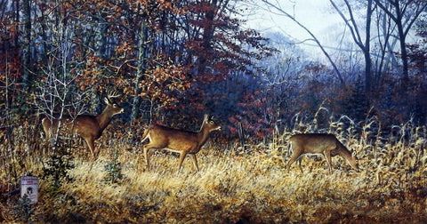 Scott Zoellick Print-Signed and Numbered:"Three's A Crowd"