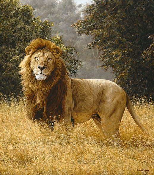 Simon Combes Hand Numbered Limited Edition Anniversary Giclee on Canvas:"Simba"