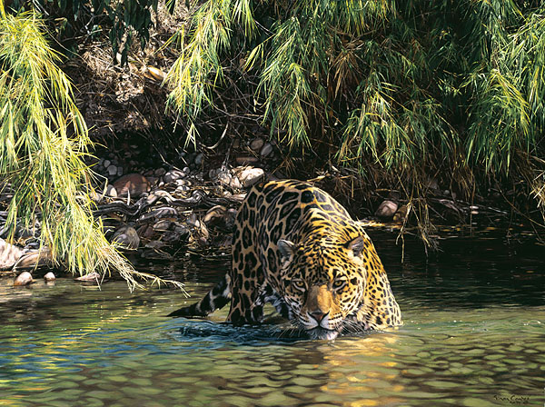 Simon Combes Hand Numbered Limited Edition Giclee on Canvas:"Eyes of Warning"