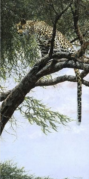 Simon Combes Limited Edition Artist's Proof Print:"The Bushwhacker"