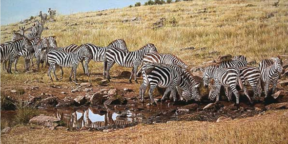 Simon Combes Limited Edition Artist's Proof Print:"The Watering Hole"