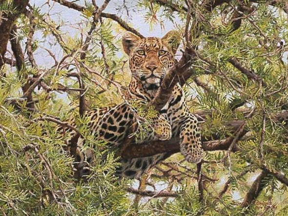 Simon Combes Limited Edition Artist's Proof Print:"Lookout"