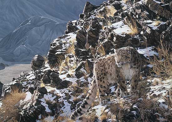 Simon Combes Limited Edition Lithograph on Paper:"Mountain Myth"