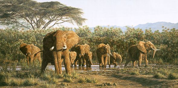 Simon Combes Limited Edition Masterwork Canvas Giclee :"Papyrus Swamp Monarchs"
